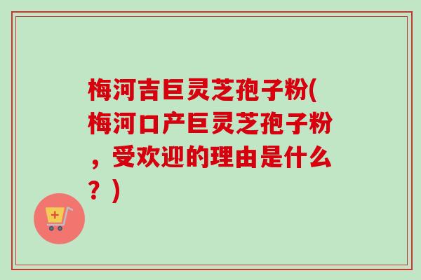 梅河吉巨灵芝孢子粉(梅河口产巨灵芝孢子粉，受欢迎的理由是什么？)-第1张图片-卓越灵芝孢子粉