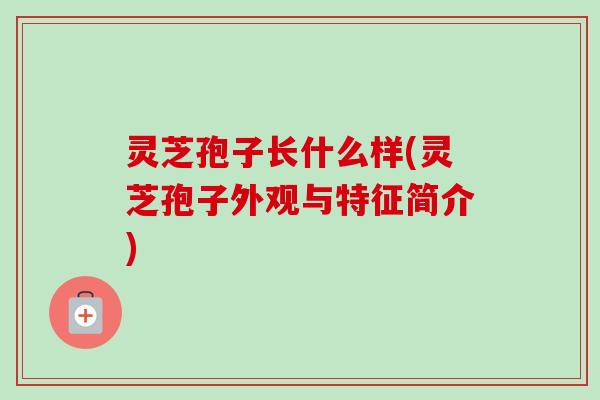 灵芝孢子长什么样(灵芝孢子外观与特征简介)-第1张图片-卓越灵芝孢子粉 灵芝孢子长什么样(灵芝孢子外观与特征简介)-第1张图片-卓越灵芝孢子粉