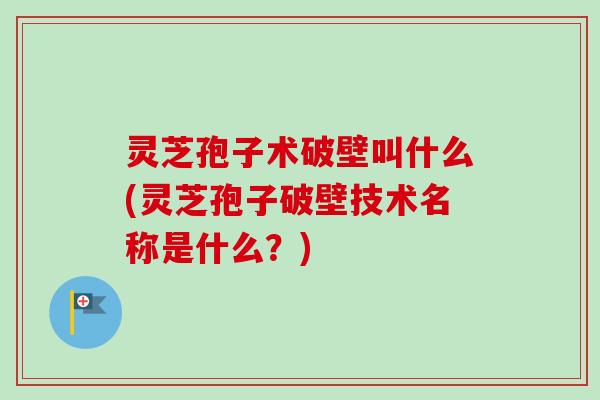 灵芝孢子术破壁叫什么(灵芝孢子破壁技术名称是什么？)-第1张图片-卓越灵芝孢子粉