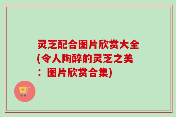 灵芝配合图片欣赏大全(令人陶醉的灵芝之美：图片欣赏合集)-第1张图片-卓越灵芝孢子粉