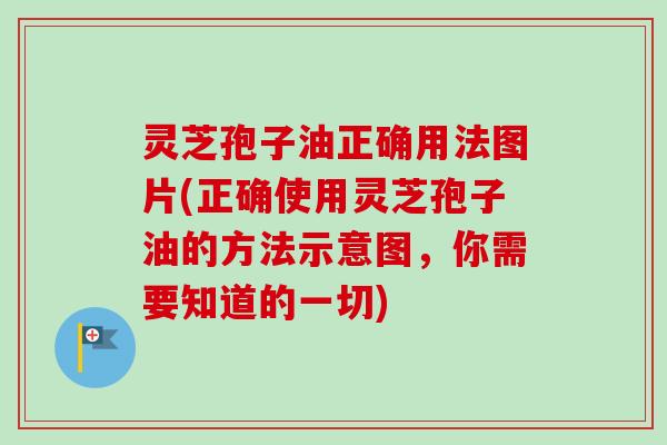 灵芝孢子油正确用法图片(正确使用灵芝孢子油的方法示意图，你需要知道的一切)-第1张图片-卓越灵芝孢子粉