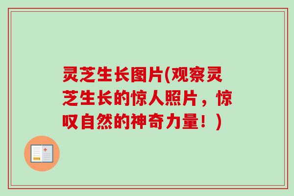 灵芝生长图片(观察灵芝生长的惊人照片,惊叹自然的神奇力量!)-第1张图片-卓越灵芝孢子粉 灵芝生长图片(观察灵芝生长的惊人照片,惊叹自然的神奇力量!)-第1张图片-卓越灵芝孢子粉