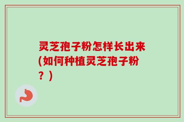 灵芝孢子粉怎样长出来(如何种植灵芝孢子粉?)-第1张图片-卓越灵芝孢子粉 灵芝孢子粉怎样长出来(如何种植灵芝孢子粉?)-第1张图片-卓越灵芝孢子粉