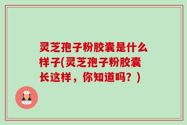 灵芝孢子粉胶囊是什么样子(灵芝孢子粉胶囊长这样,你知道吗?)-第1张图片-卓越灵芝孢子粉 灵芝孢子粉胶囊是什么样子(灵芝孢子粉胶囊长这样,你知道吗?)-第1张图片-卓越灵芝孢子粉