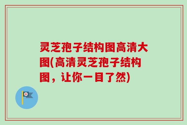 灵芝孢子结构图高清大图(高清灵芝孢子结构图，让你一目了然)-第1张图片-卓越灵芝孢子粉