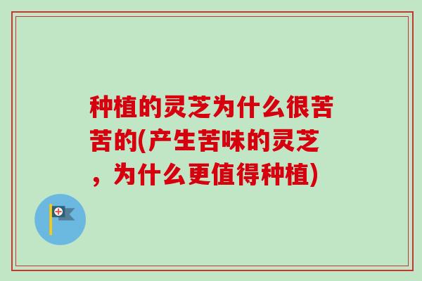 种植的灵芝为什么很苦苦的(产生苦味的灵芝,为什么更值得种植)-第1张图片-卓越灵芝孢子粉 种植的灵芝为什么很苦苦的(产生苦味的灵芝,为什么更值得种植)-第1张图片-卓越灵芝孢子粉