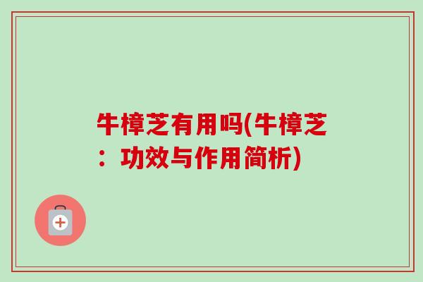 牛樟芝有用吗(牛樟芝:功效与作用简析)-第1张图片-卓越灵芝孢子粉 牛樟芝有用吗(牛樟芝:功效与作用简析)-第1张图片-卓越灵芝孢子粉