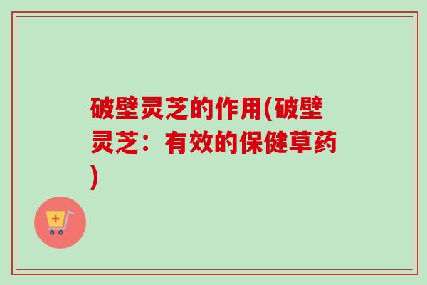 破壁灵芝的作用(破壁灵芝:有效的保健草药)-第1张图片-卓越灵芝孢子粉 破壁灵芝的作用(破壁灵芝:有效的保健草药)-第1张图片-卓越灵芝孢子粉