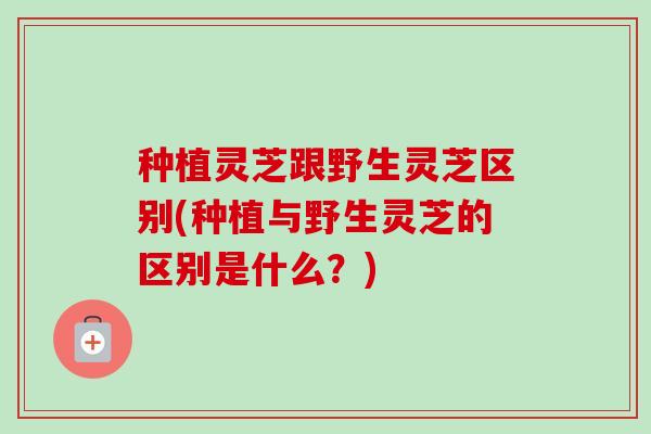 种植灵芝跟野生灵芝区别(种植与野生灵芝的区别是什么?)-第1张图片-卓越灵芝孢子粉 种植灵芝跟野生灵芝区别(种植与野生灵芝的区别是什么?)-第1张图片-卓越灵芝孢子粉