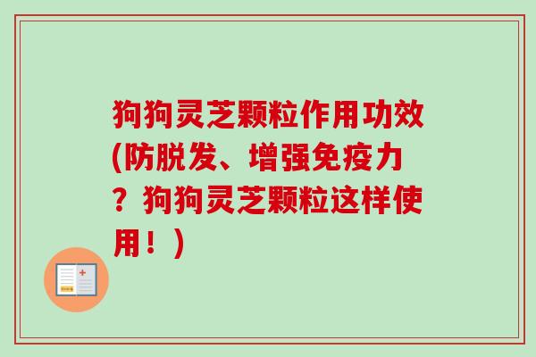 狗狗灵芝颗粒作用功效(防脱发、增强免疫力？狗狗灵芝颗粒这样使用！)-第1张图片-卓越灵芝孢子粉