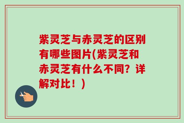 紫灵芝与赤灵芝的区别有哪些图片(紫灵芝和赤灵芝有什么不同?详解对比!)-第1张图片-卓越灵芝孢子粉 紫灵芝与赤灵芝的区别有哪些图片(紫灵芝和赤灵芝有什么不同?详解对比!)-第1张图片-卓越灵芝孢子粉