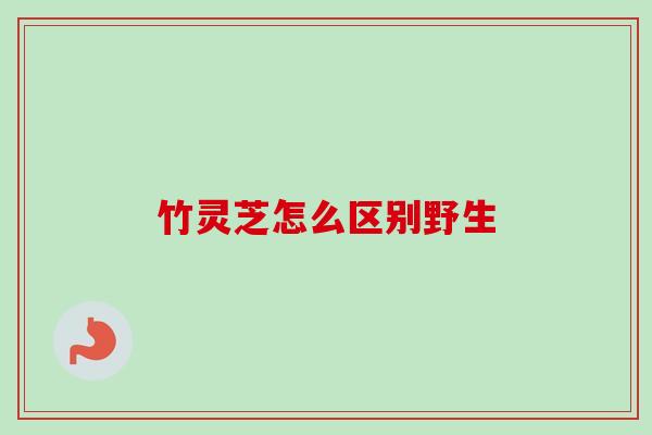 竹灵芝怎么区别野生-第1张图片-卓越灵芝孢子粉 竹灵芝怎么区别野生-第1张图片-卓越灵芝孢子粉