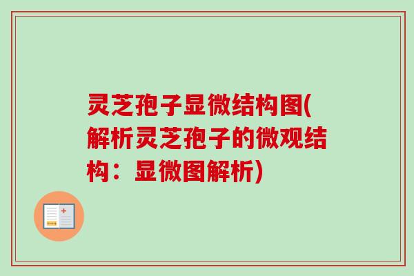 灵芝孢子显微结构图(解析灵芝孢子的微观结构:显微图解析)-第1张图片-卓越灵芝孢子粉 灵芝孢子显微结构图(解析灵芝孢子的微观结构:显微图解析)-第1张图片-卓越灵芝孢子粉