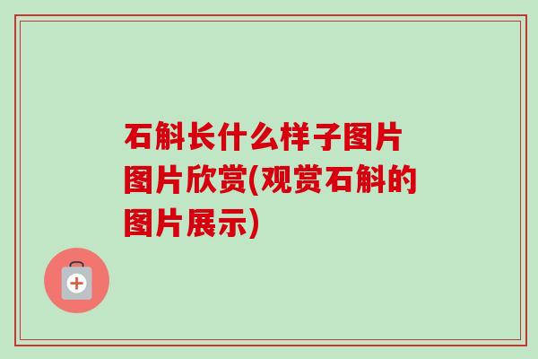 石斛长什么样子图片 图片欣赏(观赏石斛的图片展示)-第1张图片-卓越灵芝孢子粉 石斛长什么样子图片 图片欣赏(观赏石斛的图片展示)-第1张图片-卓越灵芝孢子粉