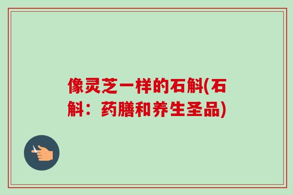 像灵芝一样的石斛(石斛：药膳和养生圣品)-第1张图片-卓越灵芝孢子粉