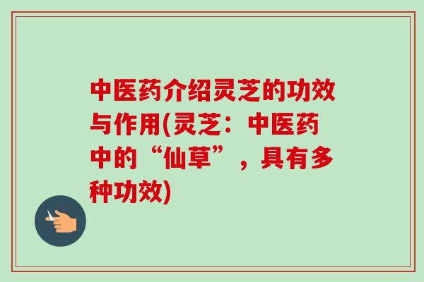 中医药介绍灵芝的功效与作用(灵芝：中医药中的“仙草”，具有多种功效)-第1张图片-卓越灵芝孢子粉