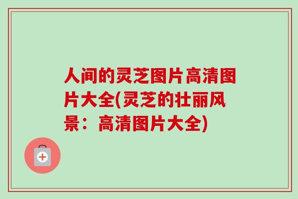 人间的灵芝图片高清图片大全(灵芝的壮丽风景：高清图片大全)-第1张图片-卓越灵芝孢子粉