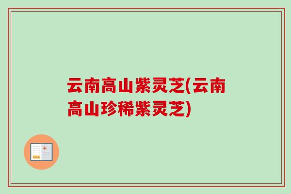 云南高山紫灵芝(云南高山珍稀紫灵芝)-第1张图片-卓越灵芝孢子粉