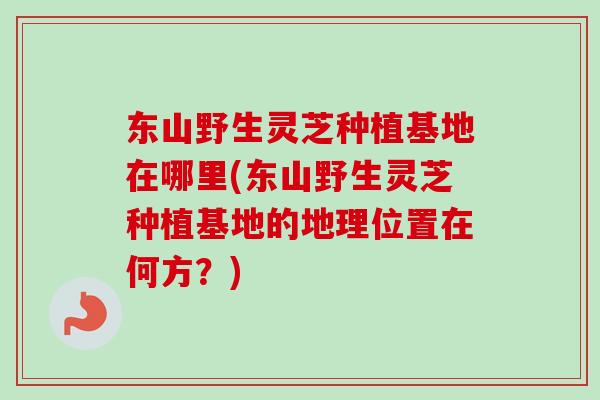 东山野生灵芝种植基地在哪里(东山野生灵芝种植基地的地理位置在何方?)-第1张图片-卓越灵芝孢子粉 东山野生灵芝种植基地在哪里(东山野生灵芝种植基地的地理位置在何方?)-第1张图片-卓越灵芝孢子粉