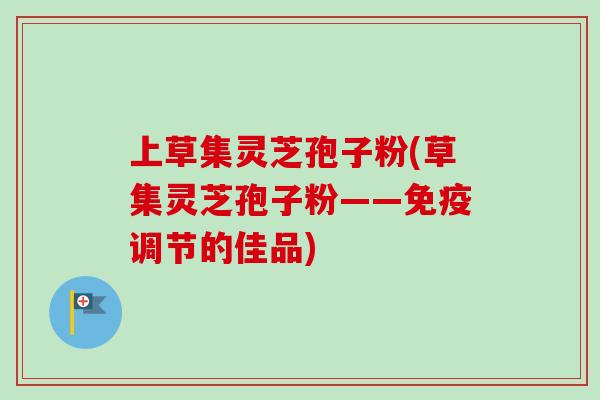 上草集灵芝孢子粉(草集灵芝孢子粉——免疫调节的佳品)-第1张图片-卓越灵芝孢子粉 上草集灵芝孢子粉(草集灵芝孢子粉——免疫调节的佳品)-第1张图片-卓越灵芝孢子粉