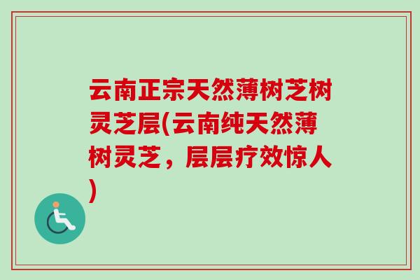 云南正宗天然薄树芝树灵芝层(云南纯天然薄树灵芝,层层疗效惊人)-第1张图片-卓越灵芝孢子粉 云南正宗天然薄树芝树灵芝层(云南纯天然薄树灵芝,层层疗效惊人)-第1张图片-卓越灵芝孢子粉