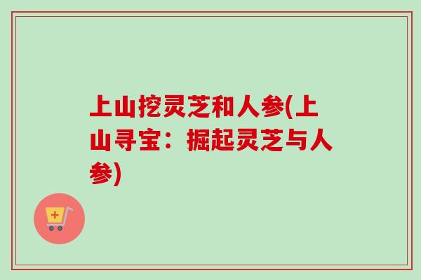 上山挖灵芝和人参(上山寻宝：掘起灵芝与人参)-第1张图片-卓越灵芝孢子粉