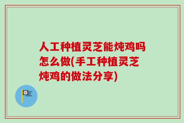 人工种植灵芝能炖鸡吗怎么做(手工种植灵芝炖鸡的做法分享)-第1张图片-卓越灵芝孢子粉 人工种植灵芝能炖鸡吗怎么做(手工种植灵芝炖鸡的做法分享)-第1张图片-卓越灵芝孢子粉