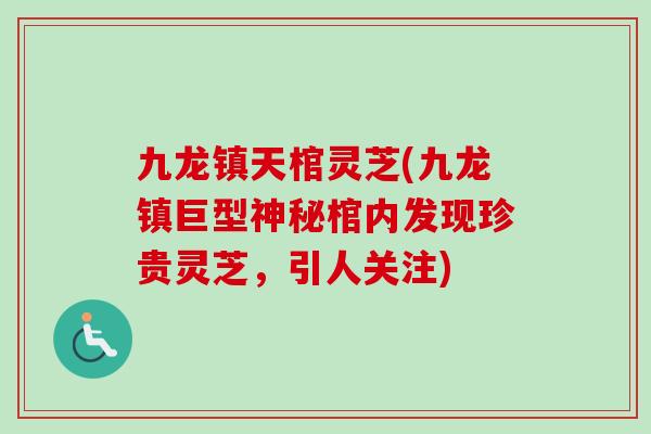 九龙镇天棺灵芝(九龙镇巨型神秘棺内发现珍贵灵芝，引人关注)-第1张图片-卓越灵芝孢子粉