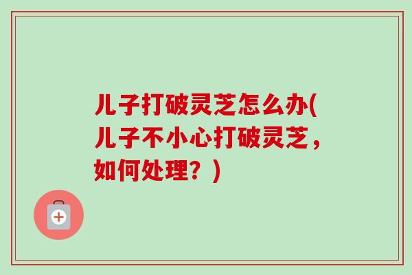 儿子打破灵芝怎么办(儿子不小心打破灵芝，如何处理？)-第1张图片-卓越灵芝孢子粉