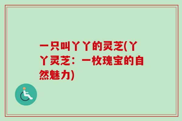 一只叫丫丫的灵芝(丫丫灵芝:一枚瑰宝的自然魅力)-第1张图片-卓越灵芝孢子粉 一只叫丫丫的灵芝(丫丫灵芝:一枚瑰宝的自然魅力)-第1张图片-卓越灵芝孢子粉