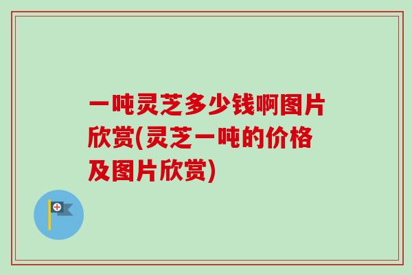 一吨灵芝多少钱啊图片欣赏(灵芝一吨的价格及图片欣赏)-第1张图片-卓越灵芝孢子粉 一吨灵芝多少钱啊图片欣赏(灵芝一吨的价格及图片欣赏)-第1张图片-卓越灵芝孢子粉