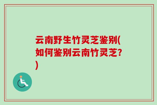 云南野生竹灵芝鉴别(如何鉴别云南竹灵芝？)-第1张图片-卓越灵芝孢子粉