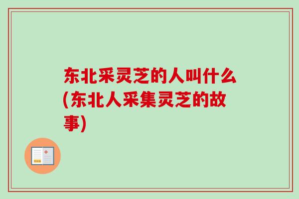 东北采灵芝的人叫什么(东北人采集灵芝的故事)-第1张图片-卓越灵芝孢子粉
