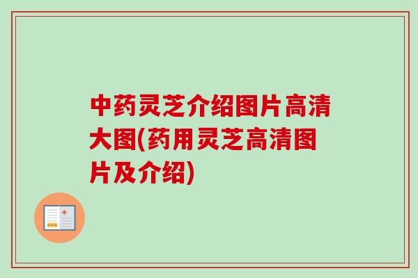 中药灵芝介绍图片高清大图(药用灵芝高清图片及介绍)-第1张图片-卓越灵芝孢子粉 中药灵芝介绍图片高清大图(药用灵芝高清图片及介绍)-第1张图片-卓越灵芝孢子粉