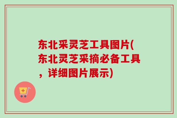 东北采灵芝工具图片(东北灵芝采摘必备工具，详细图片展示)-第1张图片-卓越灵芝孢子粉