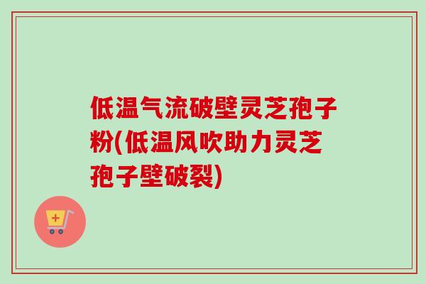 低温气流破壁灵芝孢子粉(低温风吹助力灵芝孢子壁破裂)-第1张图片-卓越灵芝孢子粉