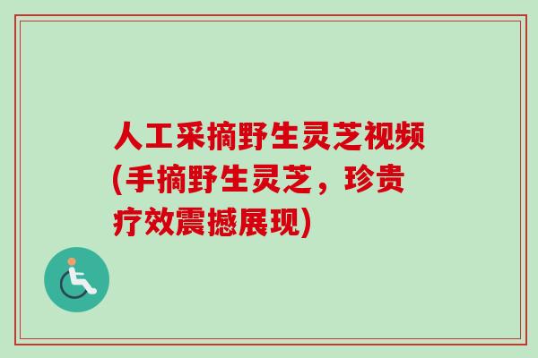人工采摘野生灵芝视频(手摘野生灵芝，珍贵疗效震撼展现)-第1张图片-卓越灵芝孢子粉