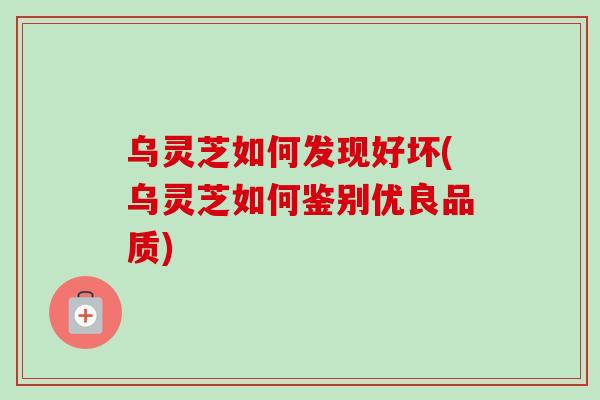 乌灵芝如何发现好坏(乌灵芝如何鉴别优良品质)-第1张图片-卓越灵芝孢子粉 乌灵芝如何发现好坏(乌灵芝如何鉴别优良品质)-第1张图片-卓越灵芝孢子粉