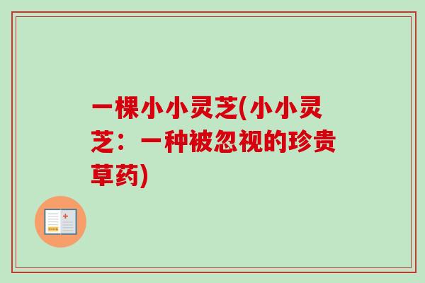 一棵小小灵芝(小小灵芝：一种被忽视的珍贵草药)-第1张图片-卓越灵芝孢子粉
