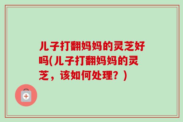 儿子打翻妈妈的灵芝好吗(儿子打翻妈妈的灵芝,该如何处理?)-第1张图片-卓越灵芝孢子粉 儿子打翻妈妈的灵芝好吗(儿子打翻妈妈的灵芝,该如何处理?)-第1张图片-卓越灵芝孢子粉