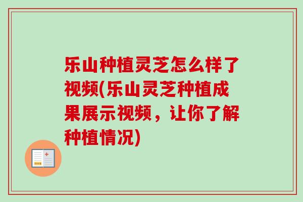 乐山种植灵芝怎么样了视频(乐山灵芝种植成果展示视频,让你了解种植情况)-第1张图片-卓越灵芝孢子粉 乐山种植灵芝怎么样了视频(乐山灵芝种植成果展示视频,让你了解种植情况)-第1张图片-卓越灵芝孢子粉