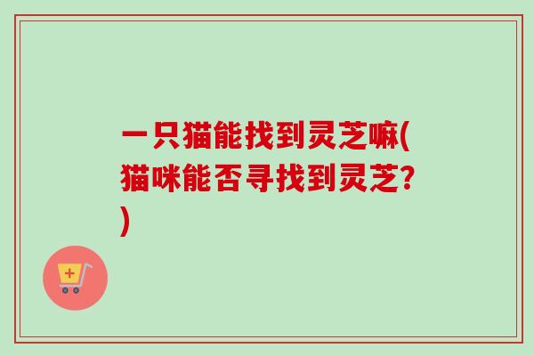 一只猫能找到灵芝嘛(猫咪能否寻找到灵芝?)-第1张图片-卓越灵芝孢子粉 一只猫能找到灵芝嘛(猫咪能否寻找到灵芝?)-第1张图片-卓越灵芝孢子粉
