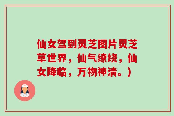 仙女驾到灵芝图片灵芝草世界,仙气缭绕,仙女降临,万物神清。)-第1张图片-卓越灵芝孢子粉 仙女驾到灵芝图片灵芝草世界,仙气缭绕,仙女降临,万物神清。)-第1张图片-卓越灵芝孢子粉