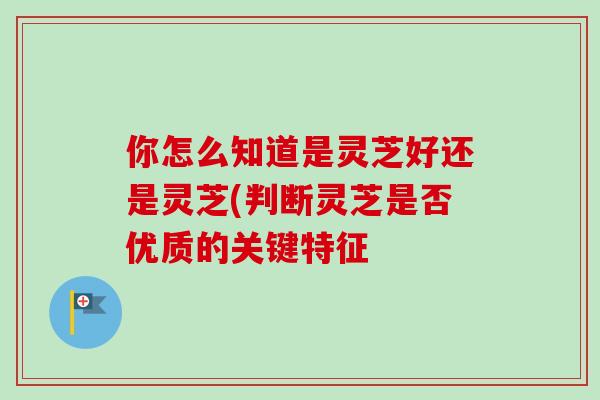 你怎么知道是灵芝好还是灵芝(判断灵芝是否优质的关键特征-第1张图片-卓越灵芝孢子粉 你怎么知道是灵芝好还是灵芝(判断灵芝是否优质的关键特征-第1张图片-卓越灵芝孢子粉