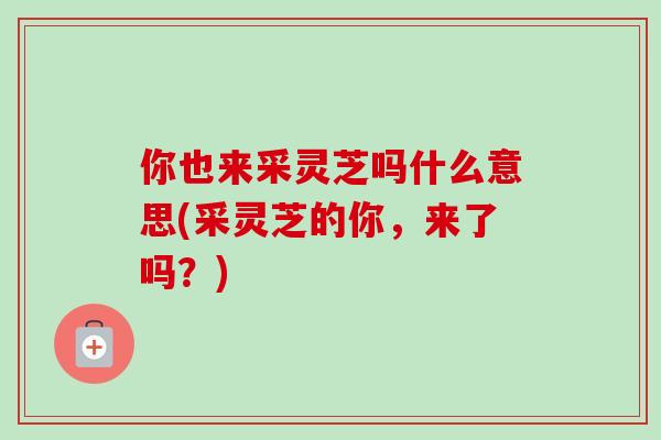 你也来采灵芝吗什么意思(采灵芝的你，来了吗？)-第1张图片-卓越灵芝孢子粉