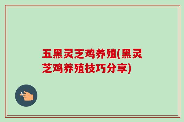 五黑灵芝鸡养殖(黑灵芝鸡养殖技巧分享)-第1张图片-卓越灵芝孢子粉