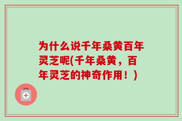 为什么说千年桑黄百年灵芝呢(千年桑黄,百年灵芝的神奇作用!)-第1张图片-卓越灵芝孢子粉 为什么说千年桑黄百年灵芝呢(千年桑黄,百年灵芝的神奇作用!)-第1张图片-卓越灵芝孢子粉