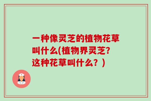 一种像灵芝的植物花草叫什么(植物界灵芝?这种花草叫什么?)-第1张图片-卓越灵芝孢子粉 一种像灵芝的植物花草叫什么(植物界灵芝?这种花草叫什么?)-第1张图片-卓越灵芝孢子粉