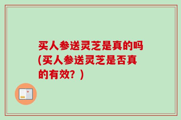 买人参送灵芝是真的吗(买人参送灵芝是否真的有效?)-第1张图片-卓越灵芝孢子粉 买人参送灵芝是真的吗(买人参送灵芝是否真的有效?)-第1张图片-卓越灵芝孢子粉