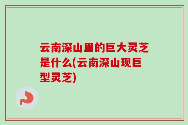 云南深山里的巨大灵芝是什么(云南深山现巨型灵芝)-第1张图片-卓越灵芝孢子粉